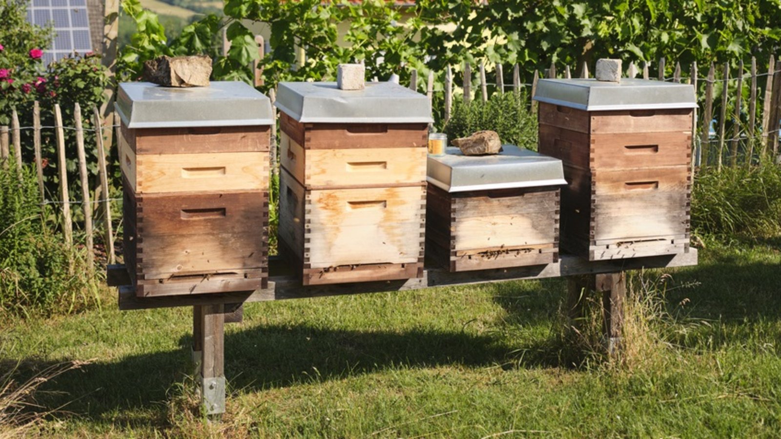 Foto: AWO Bundesverband