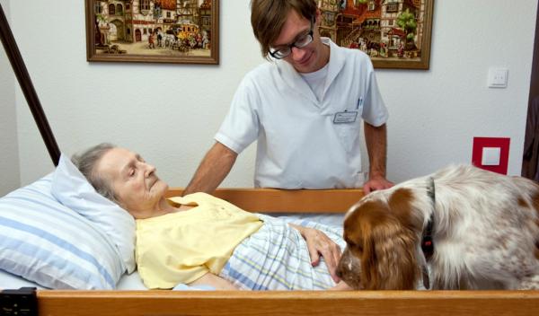 Helmut-Turck-Zentrum - Therapiehund auch im Bett